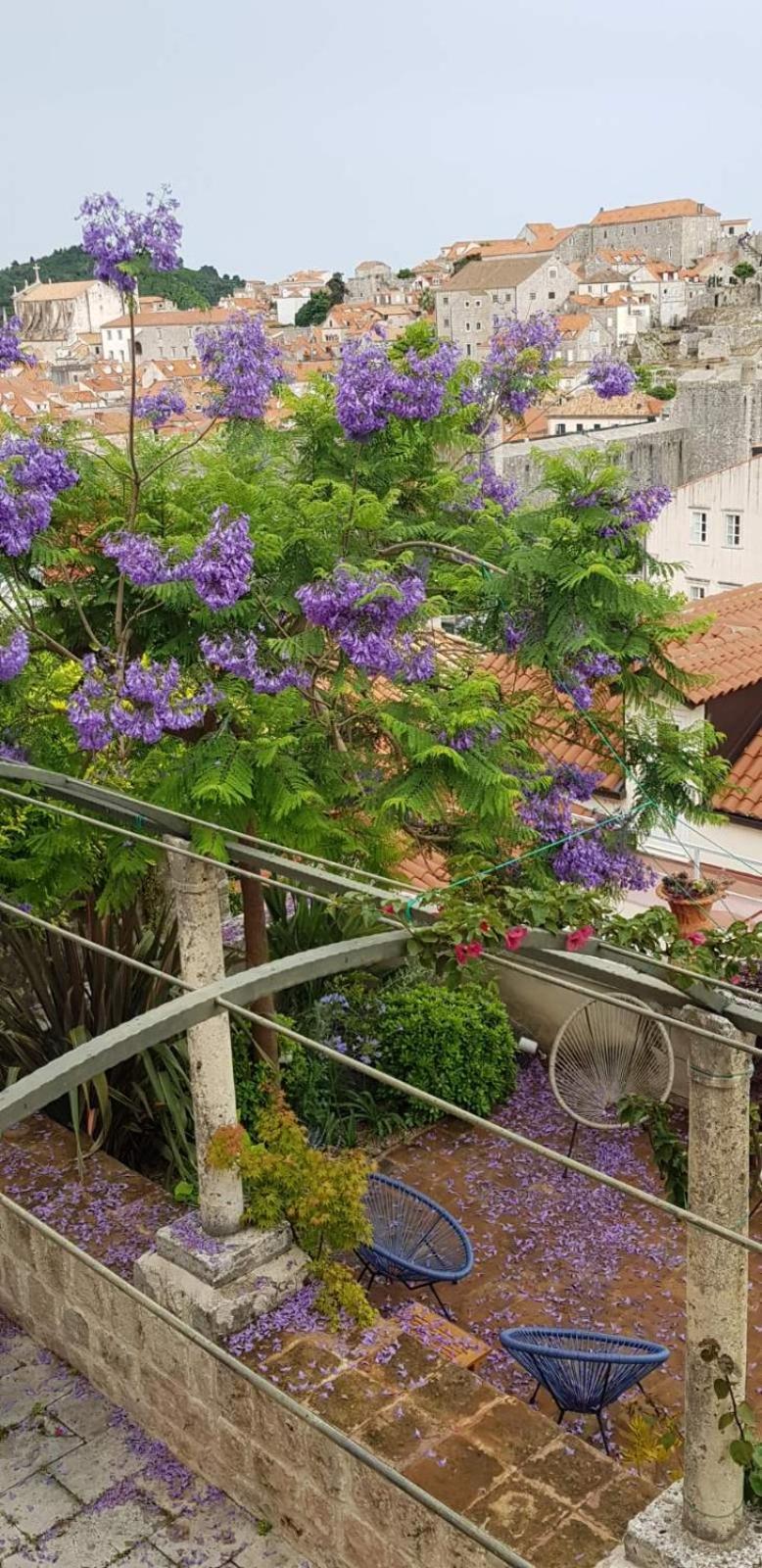 Villa Ani Apartment Ariel Dubrovnik Eksteriør billede